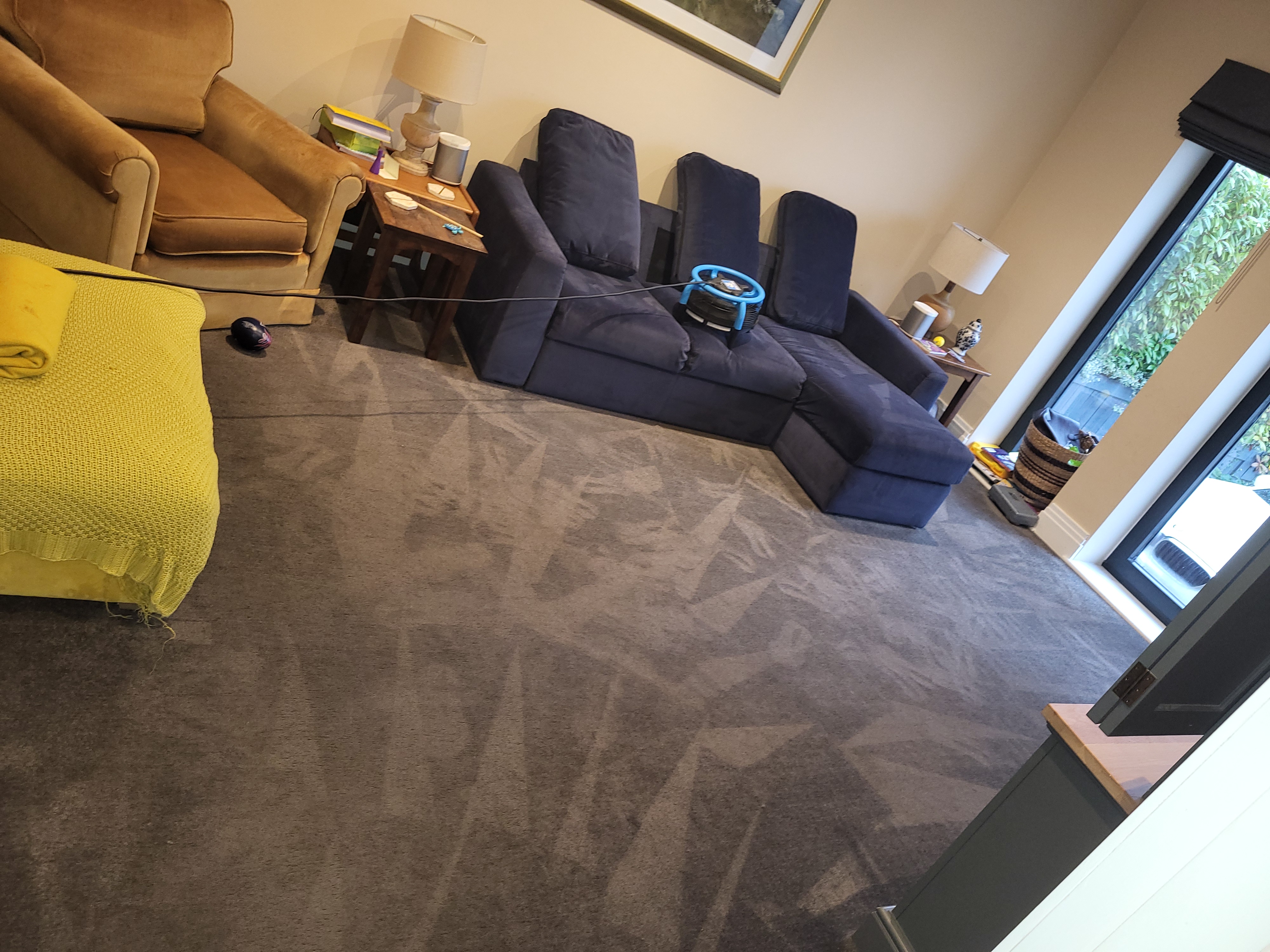 Living room carpet deep clean